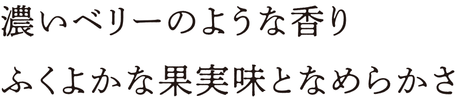 濃いベリーのような香り ふくよかな果実味となめらかさ