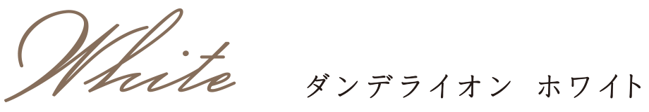 ダンデライオン ホワイト